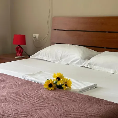 Turdiu Center Apartment *