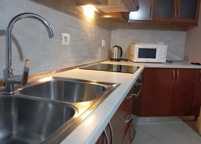 Apartment Turdiu Center *