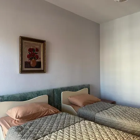 Apartment Turdiu Center