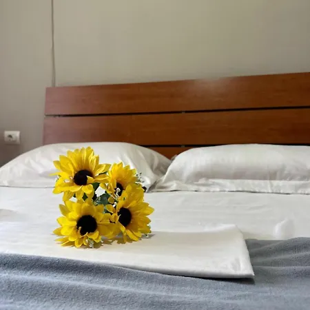 Apartamento Turdiu Center *