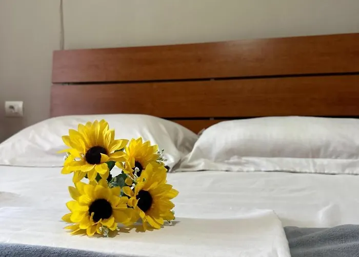 Apartman Turdiu Center *