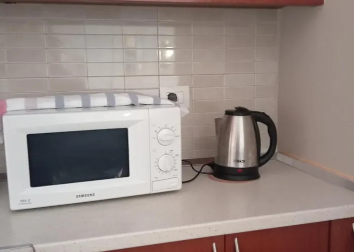 Turdiu Center 地拉那